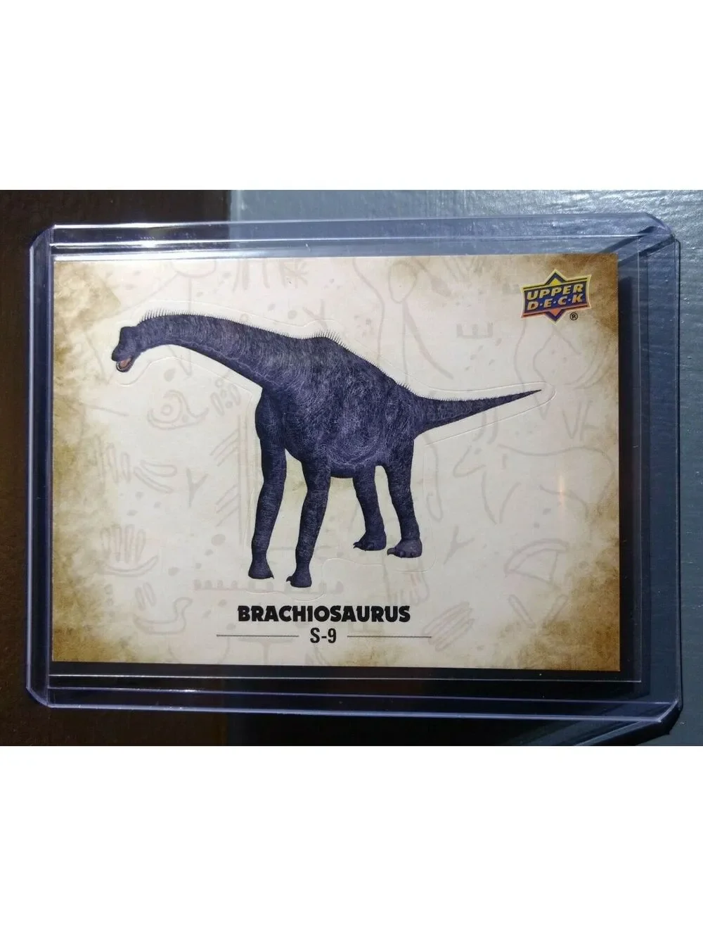 2015 Upper Deck Dinosaurs Brachiosaurus #S-9 Trading Sticker Card